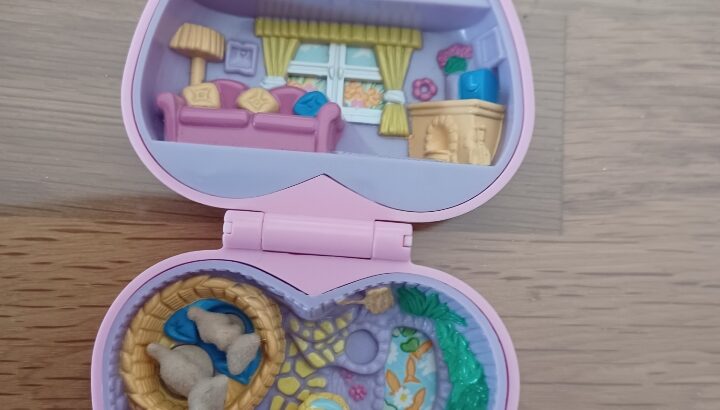 Polly Pocket boite chien